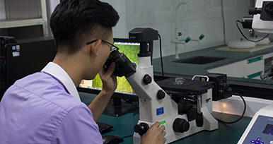 金相显微镜 金相显微镜